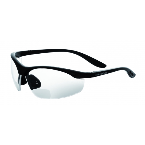 Schutzbrille Eagle Eye/ Anti Fog- UV 400/KLAR/+1,0