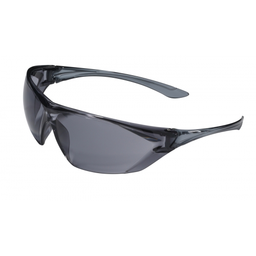 Schutzbrille SPEED Scheibe rauchgrau